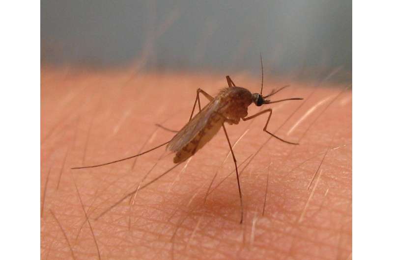 Drought identified as key to severity of West Nile virus epidemics