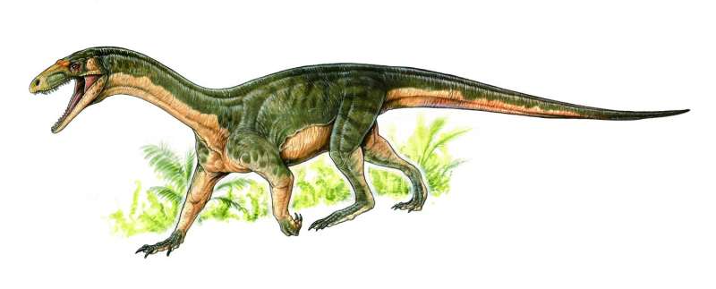 Early dinosaur 'cousin' discovered -- and it's not like scientists thought it'd be