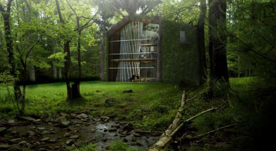 ‘Eco-treehouse’ could be future of home building