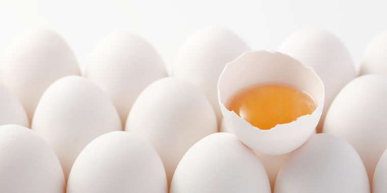 Eggs improve biomarkers related to infant brain development