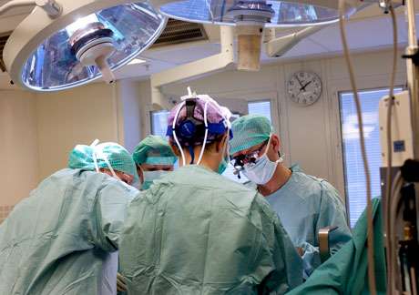 Eight children born after uterus transplants