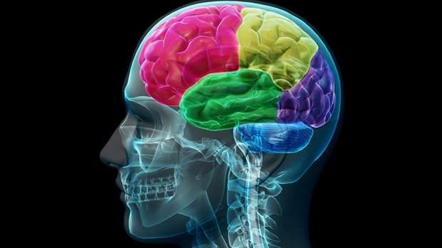 Electronic cap treatment improves brain tumour survival
