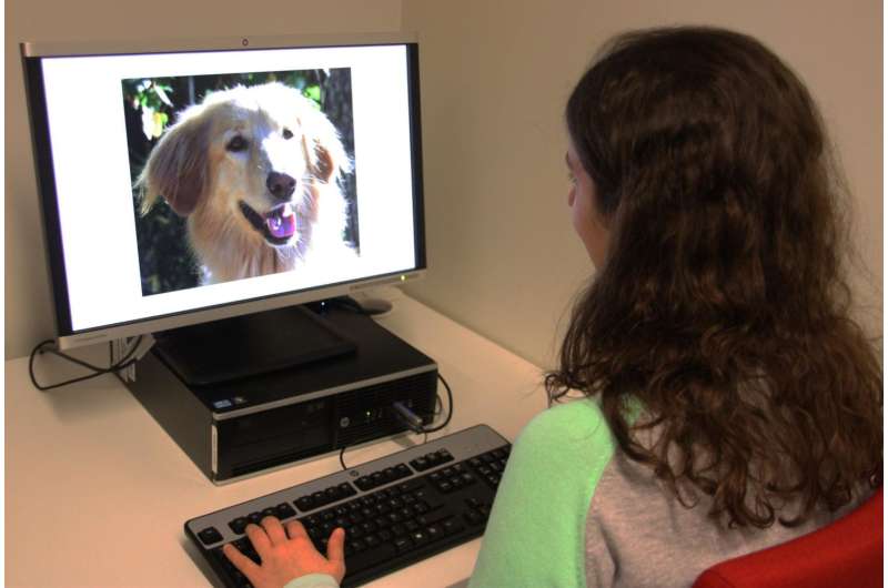Empathetic people experience dogs' expressions more strongly