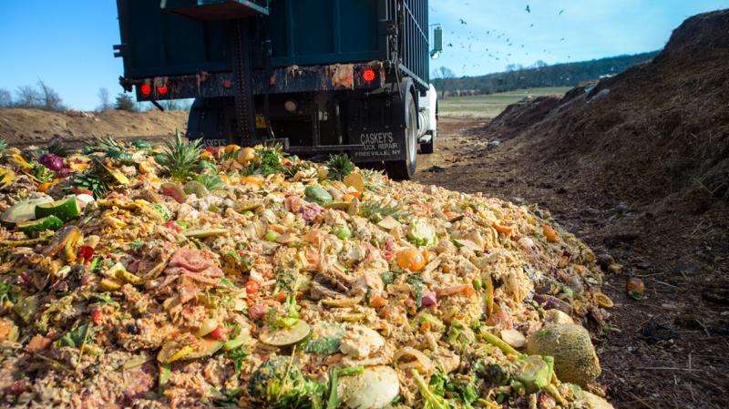 Engineers transform food waste into green energy
