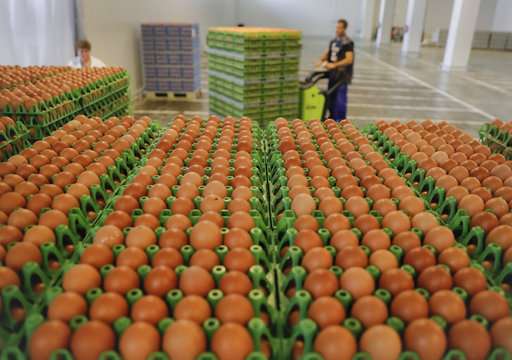 EU says 40 countries now affected in tainted egg scandal