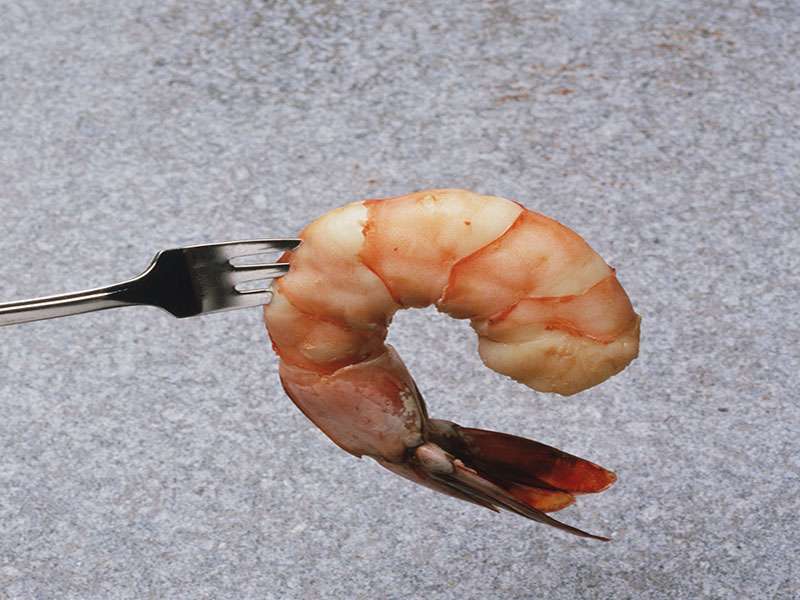 Exercise-induced anaphylaxis due to shrimp intake described