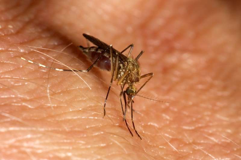 Experts discover ways to tackle drug resistant parasites that cause the killer disease malaria