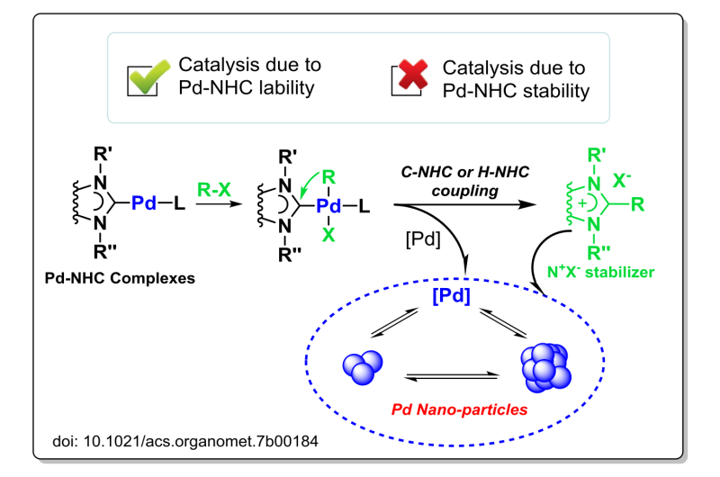 Facile decomposition of Metal-NHC complexes under catalytic conditions and the key role of NHC-stabilized nanoparticles