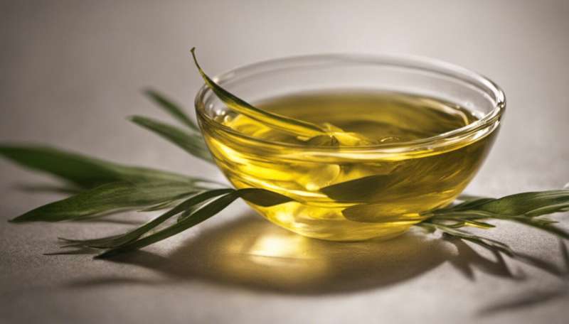 Fact Check: is it bad for your health to eat food fried in olive oil?