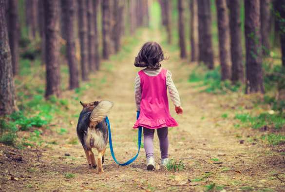 Family pets boost child development