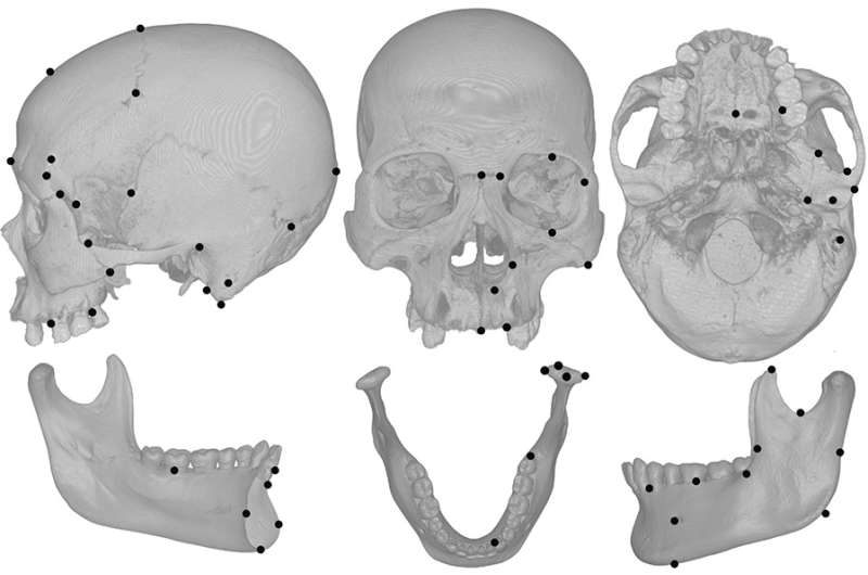 Farming, cheese, chewing changed human skull shape