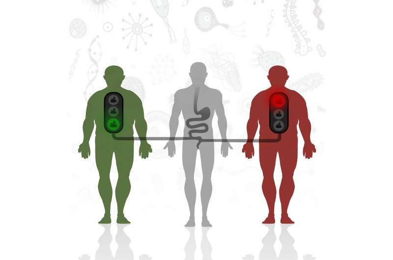 Fecal transplant success for diabetes might depend on the recipient's gut microbes
