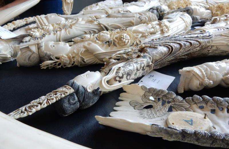 Fighting ivory trafficking with forensic science