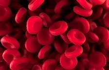 First evaluation of sickle cell screening programme published