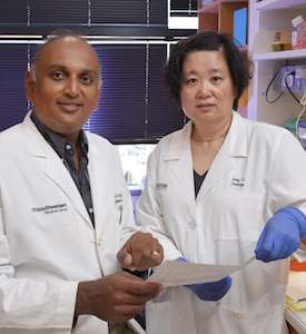 First-in-class drug holds promise for therapy-resistant breast cancer