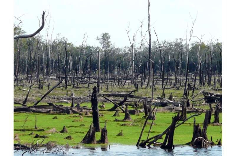 Flammable floodplains are weak spot of Amazon forest