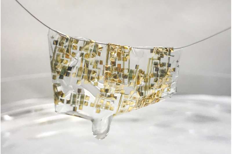 Flexible, organic and biodegradable: Stanford researchers develop new wave of electronics
