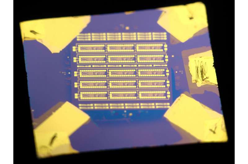 Flexible processors with atomically thin materials
