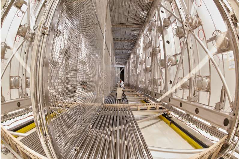 Follow the fantastic voyage of the ICARUS neutrino detector