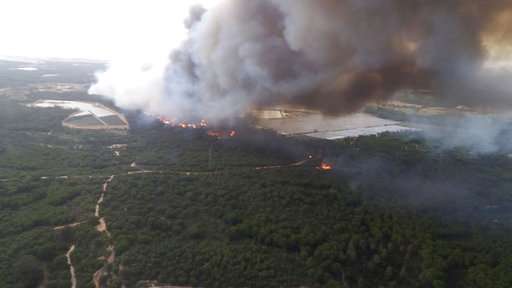 Forest fire in Spain threatens renowned national park