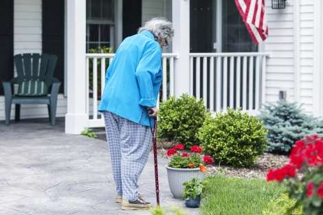 For the elderly, physical therapy can help straighten a hunched back