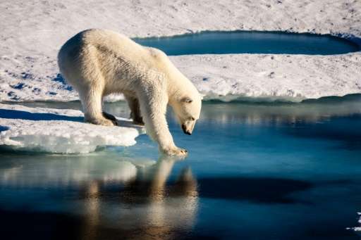 Freakishly high temperatures in the Arctic have been reinforced by a &quot;vicious circle&quot; of climate change