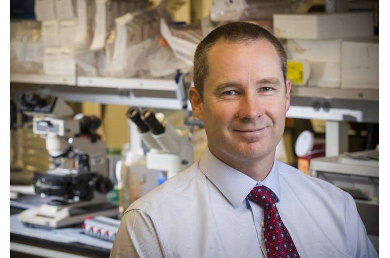 Fred Hutch studies advance methods to avert toxicity that can accompany immunotherapy
