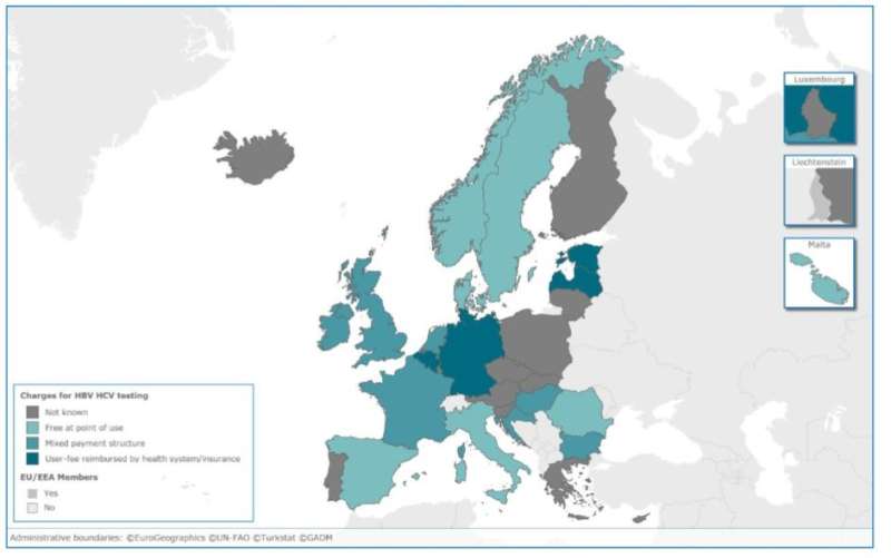 Gaps in hepatitis testing and monitoring programmes across the EU/EEA