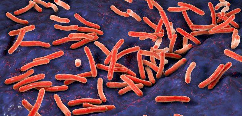 Genetic sequencing offers same-day TB testing