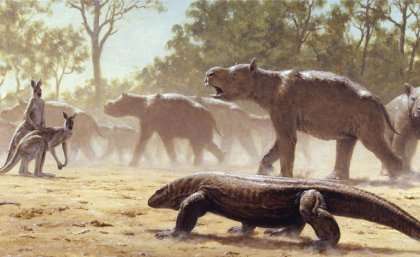 Giant Australian marsupials were like no other