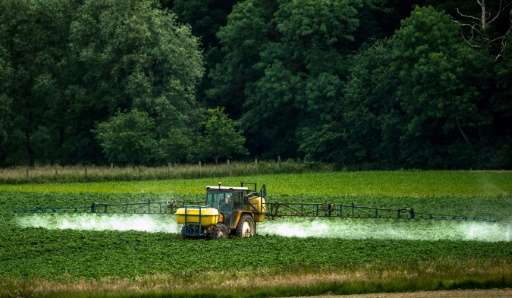 Glyphosate is the main component in the best-selling herbicide Roundup produced by the US agro-chemicals giant Monsanto, but the