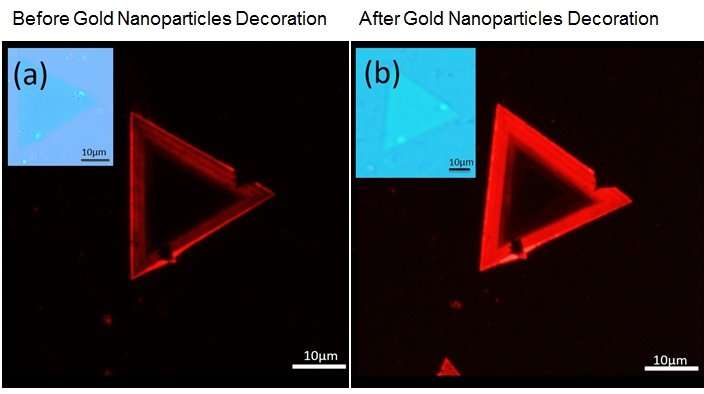 Gold nanoparticles enhance light emissions from tungsten disulphide