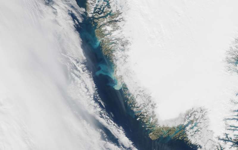 Greenland's summer ocean bloom likely fueled by iron