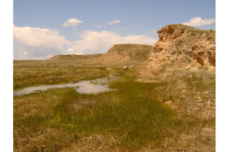 Groundwater pumping drying up Great Plains streams, driving fish extinctions