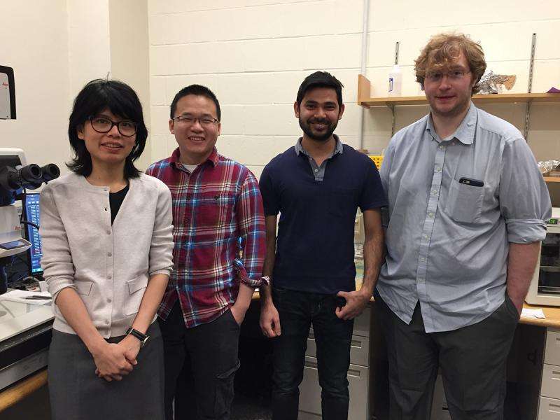 Group uses its own 'toolset' to probe chemical responses