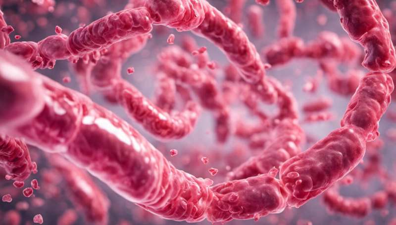 Gut microbes and poor artery health -- researchers probe possible link
