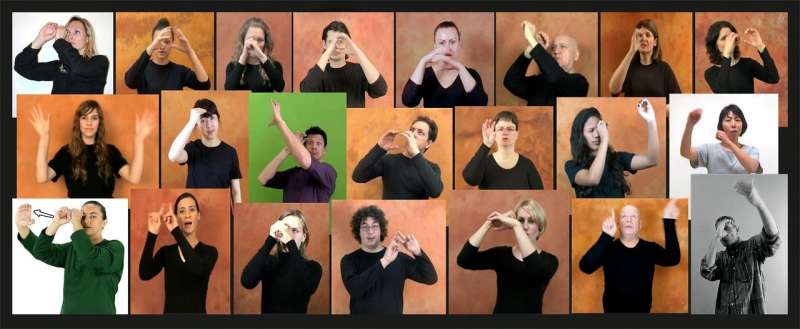 Hands in the stars: The first international comparative list of astronomical words in sign languages