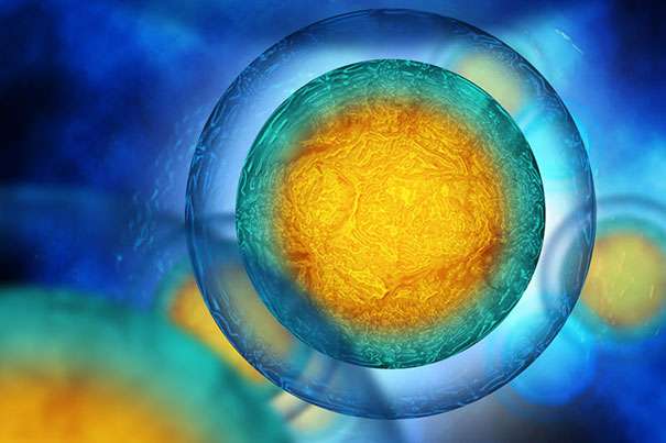 Harvard scientists pinpoint critical step in DNA repair, cellular aging
