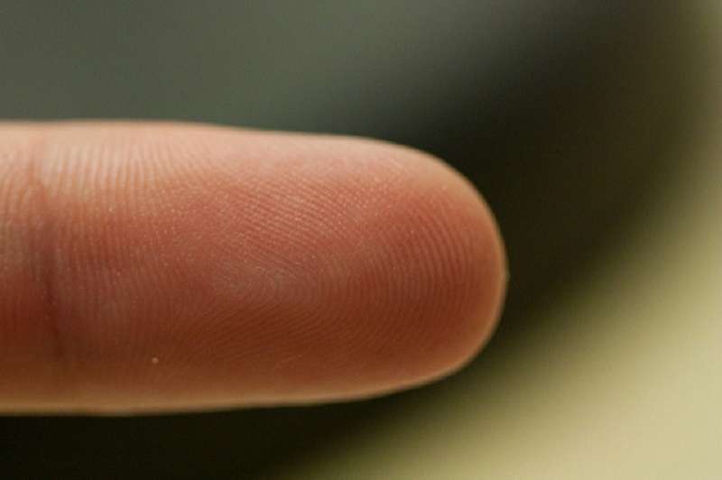 Hearing a sound can alter perception of finger size