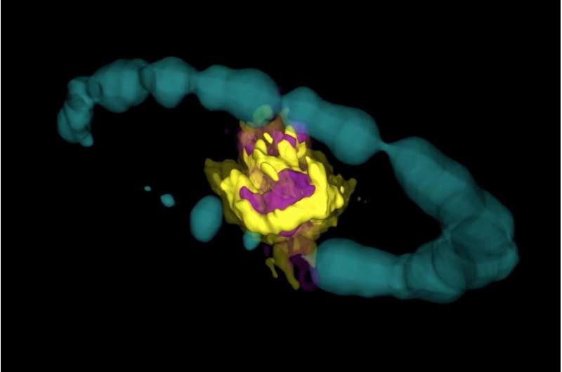 Heart of an exploded star observed in 3-D