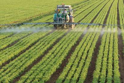 Heavily used pesticide linked to breathing problems in farmworkers’ children