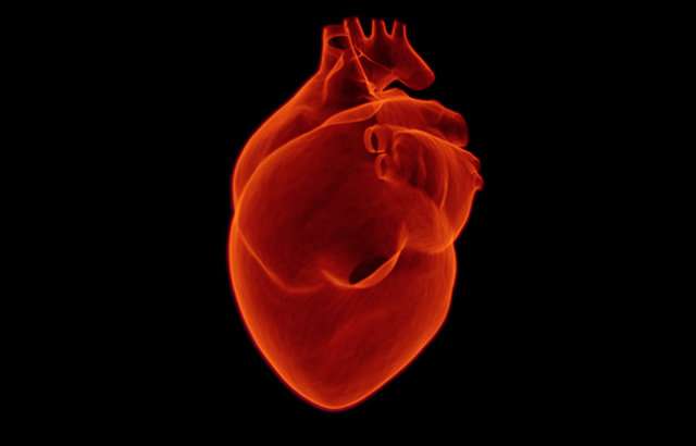 High BMI and blood pressure create a heavy heart