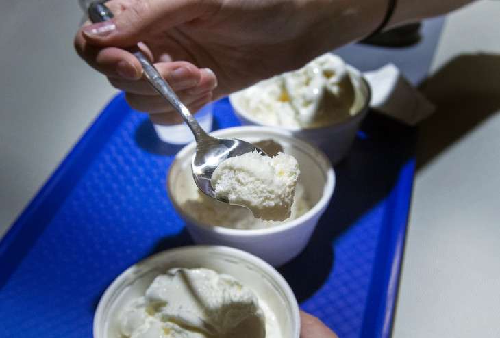 High-fat ice cream may not necessarily mean tastier ice cream