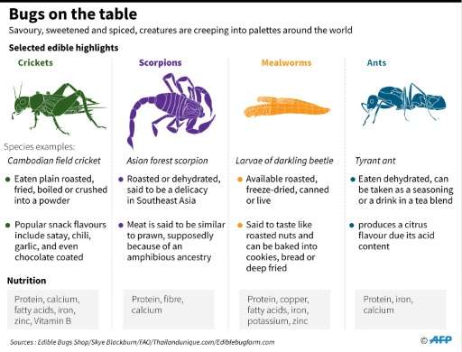 High in protein, cheap to produce, and with a much lighter carbon footprint than meat or dairy farming, bugs are already part of