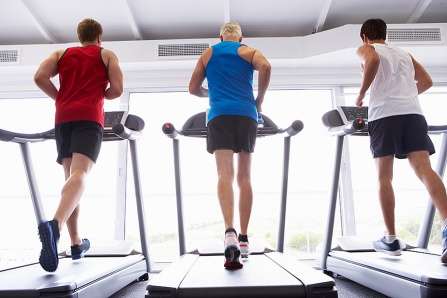 High intensity interval training can reverse frailty at advanced age, preclinical study finds