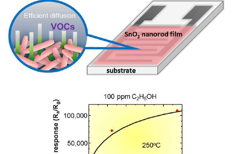 Highly sensitive gas sensors for volatile organic compound detection
