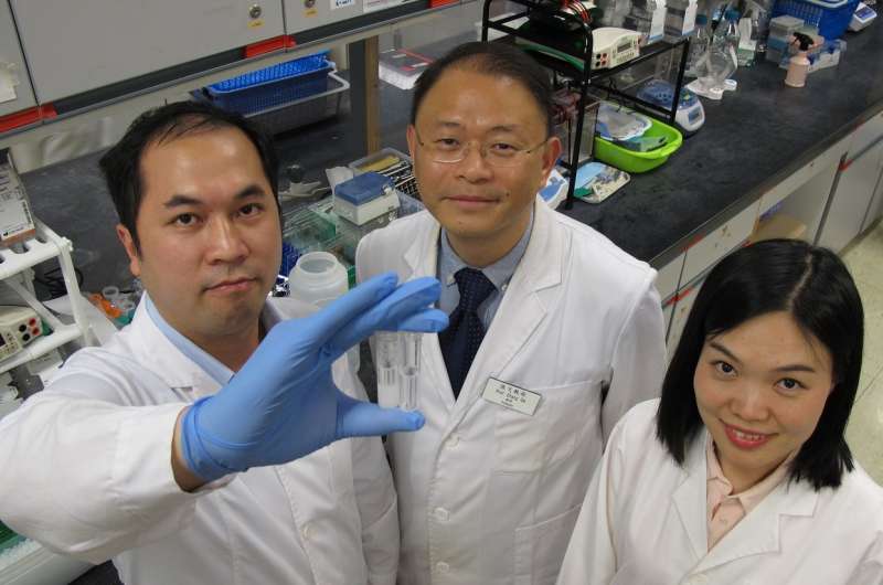 HKBU scholars develop new generation of tumor-specific aptamer-drug conjugate