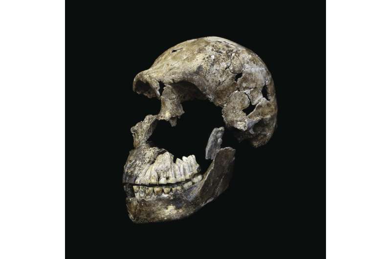 Homo naledi's surprisingly young age opens up more questions on where we come from