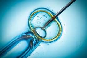 Hope for couples suffering IVF miscarriage