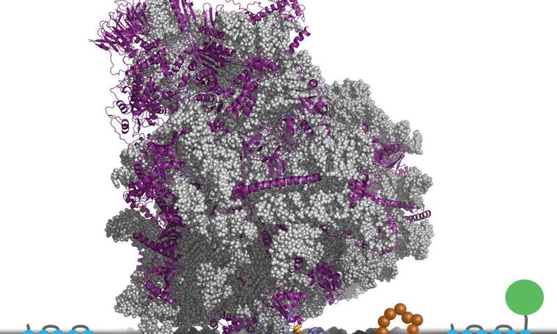 How a biophysical simulation method might accelerate drug target discovery